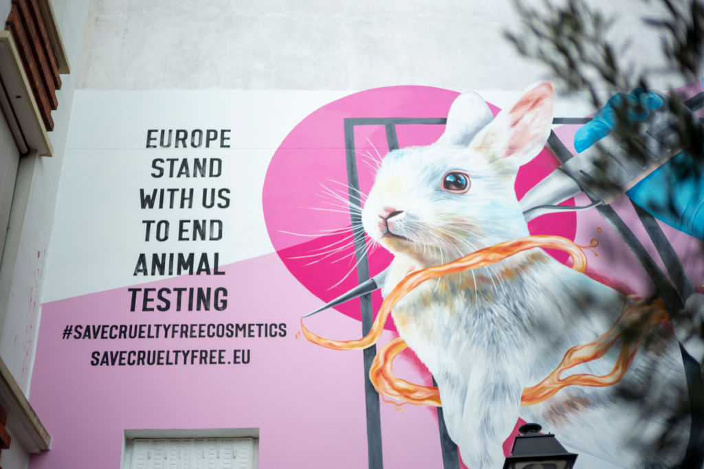 Dove, The Body Shop and a unique coalition of animal protection organisations take a stand against animal testing in cosmetics