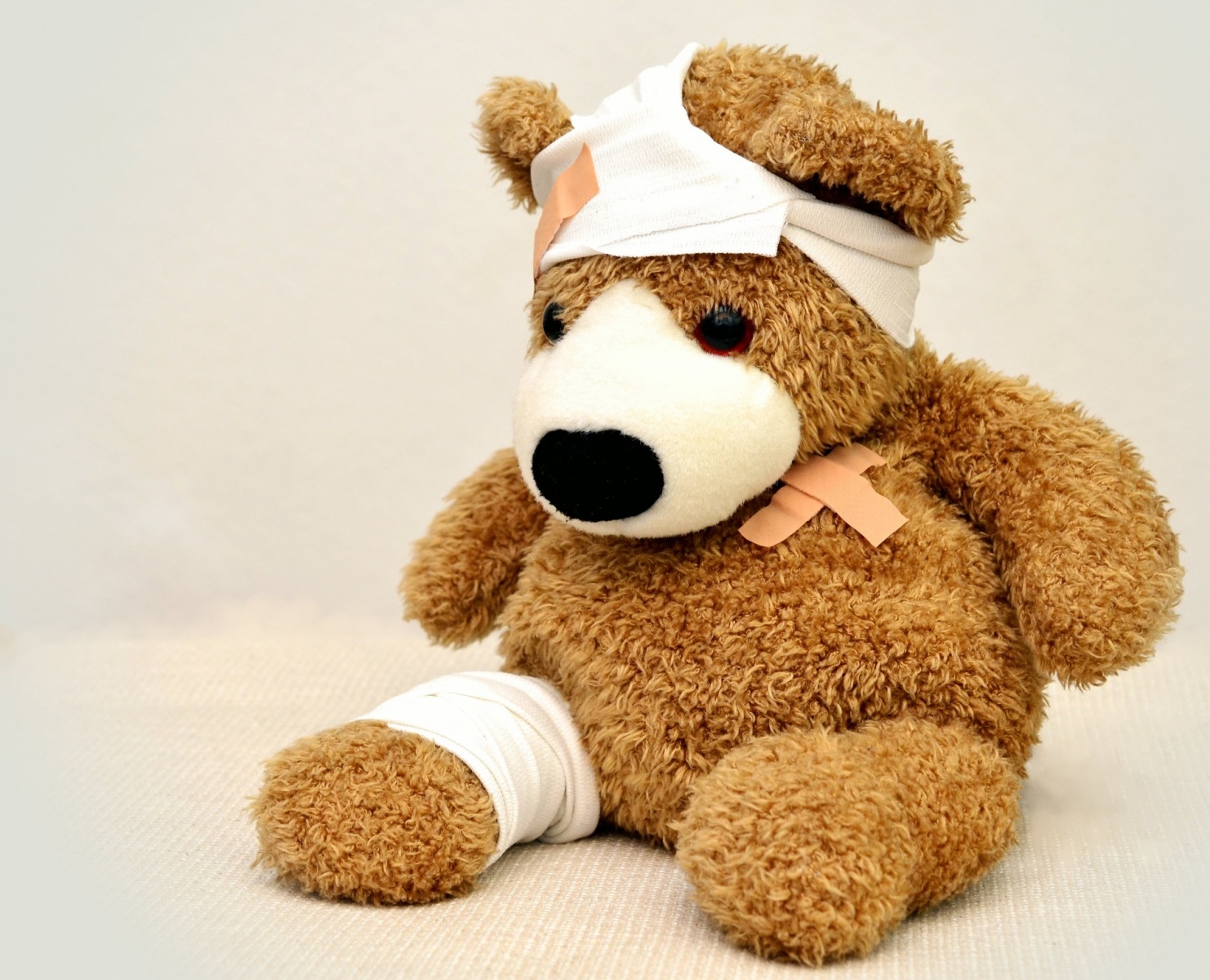 injured bear model