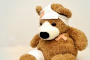 injured bear model