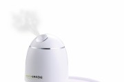 Beauty ORA Face Maskerade Steamer and Mask Maker